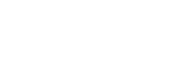 the wedding white