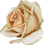 ELEMEN 32 10 Copyright © Weddingku.vip