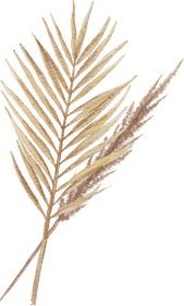 ELEMEN 32 4 Copyright © Weddingku.vip