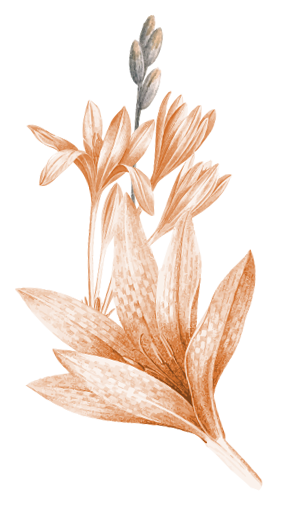 daun 1 Copyright © Weddingku.vip