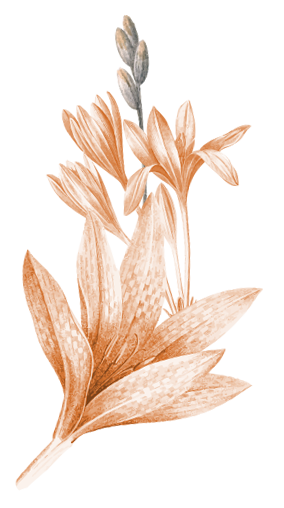 daun 2 Copyright © Weddingku.vip