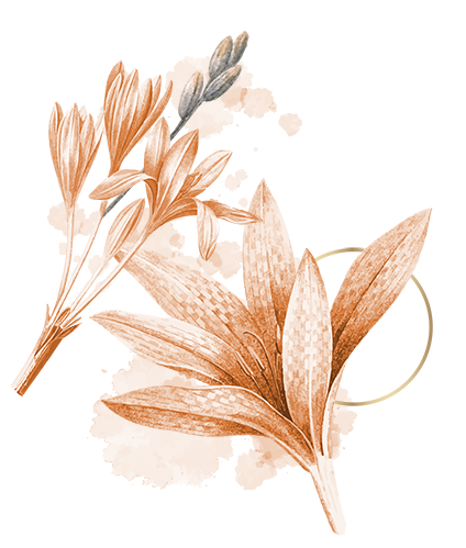 modal img left Copyright © Weddingku.vip