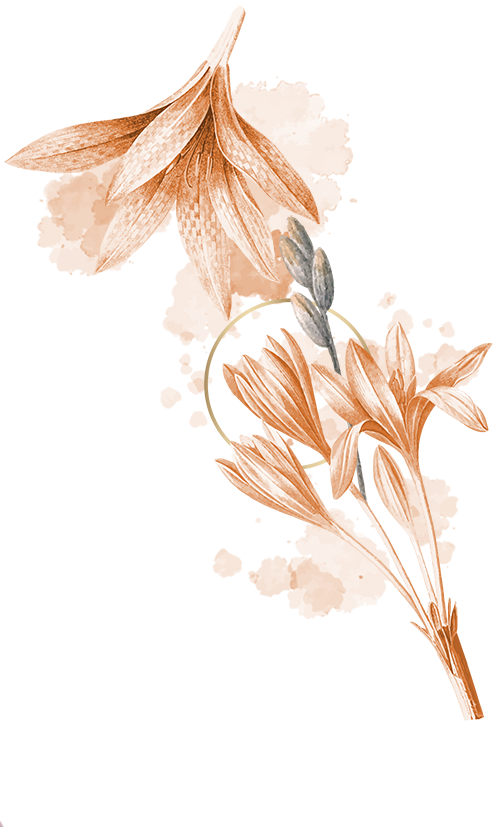 modal img right Copyright © Weddingku.vip